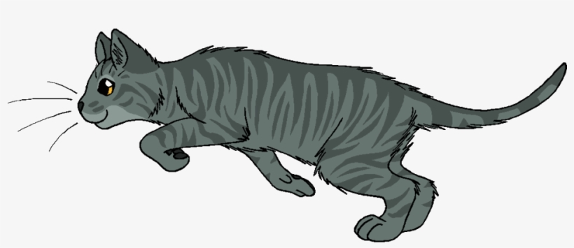 Bloomheart - Wildpathofshadowclan Thunderclan, transparent png #758198