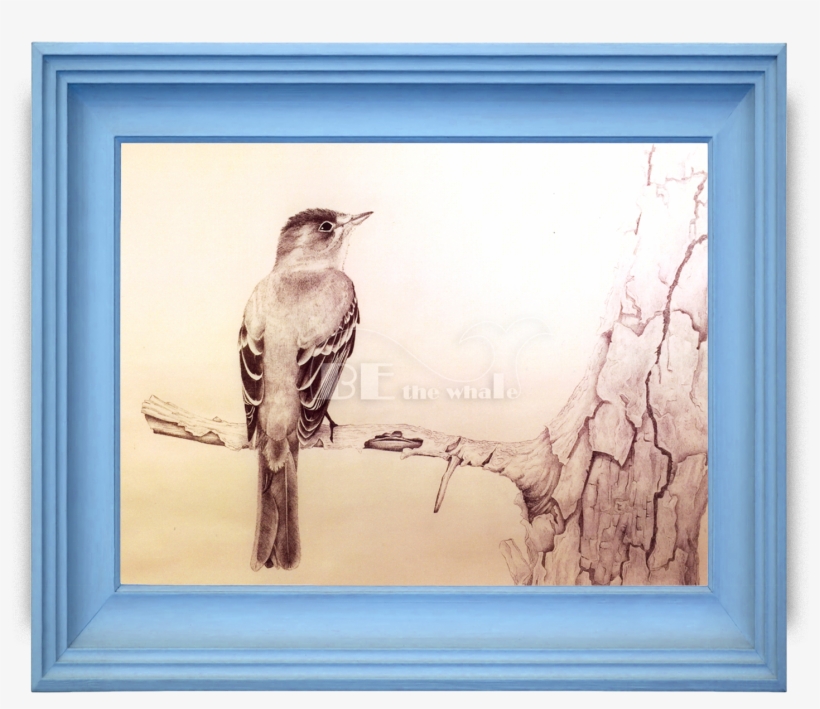 Utah Winner Brooks Jones, Herriman High School - Utah, transparent png #758223