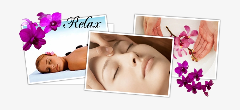Spa Offers Treatments At Shangri-la Beauty Spa - Beauty Spa Offer, transparent png #758224