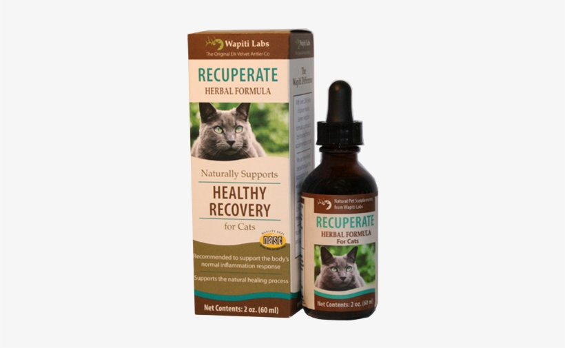 Recuperate For Cats - Wapiti Labs Dog Recuperate Formula, transparent png #758259