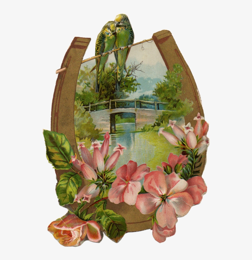 Img151a1 - Garden Roses, transparent png #758300