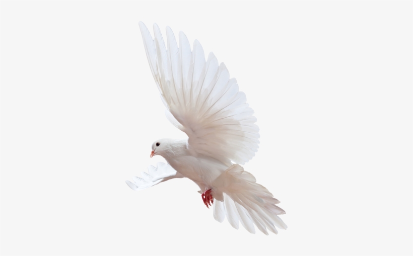 First Name - Blessing Of The Lord: Riches, Wealth, transparent png #759609