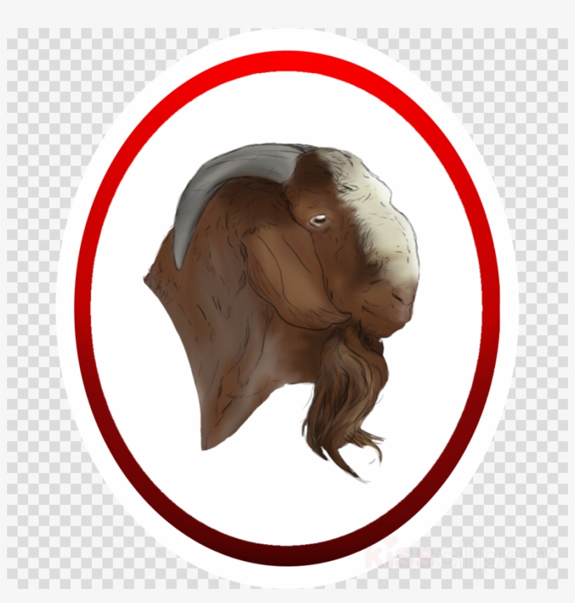 Boer Goat Png Clipart Boer Goat Angora Goat Goat Farming, transparent png #7502773