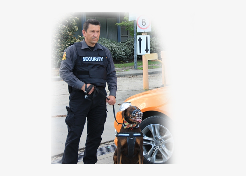Hire Guards For Security Melbourne Metropolitan Guards, transparent png #7505251