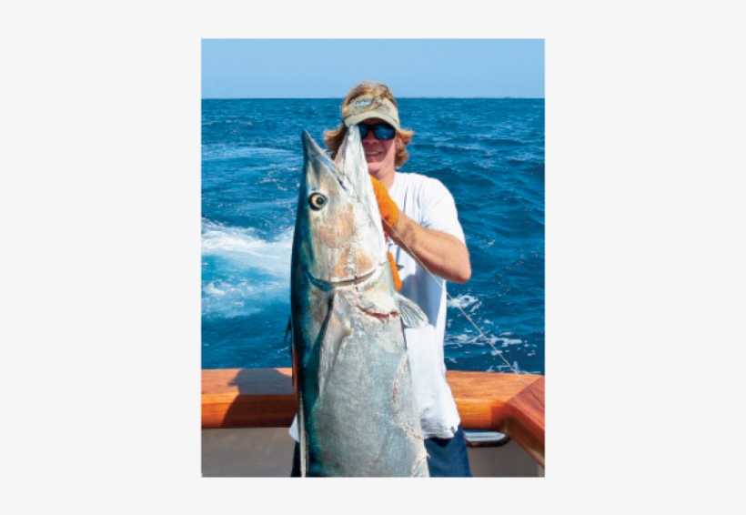 With Ongoing Research Anglers Are Hoping To Gain Insight, transparent png #7505335