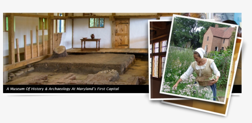 A Museum Of Historically & Archaeology At Maryland's, transparent png #7506448
