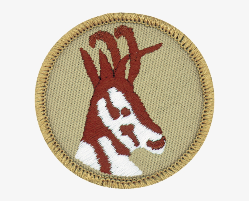 Antelope, transparent png #7508261