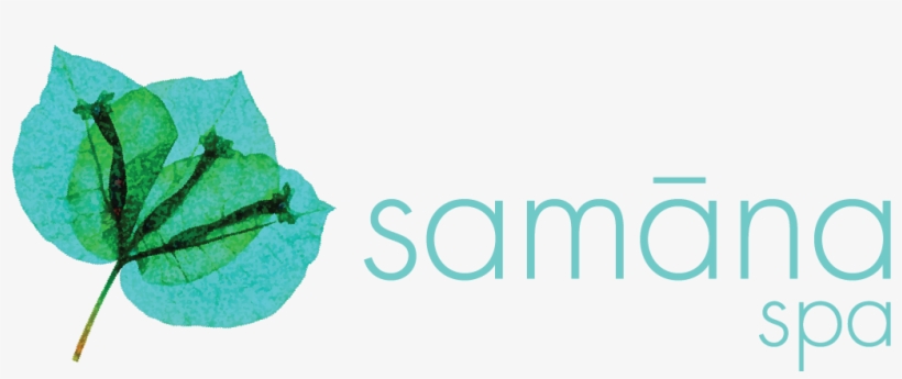 How To Lime, transparent png #7508740