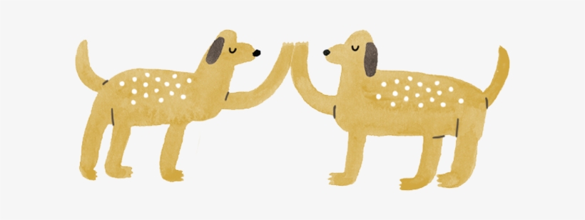 Shop Now, transparent png #7510180