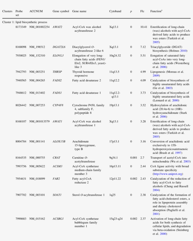 List Of Genes Differentially Expressed In Ebs-dm Skin, transparent png #7512989