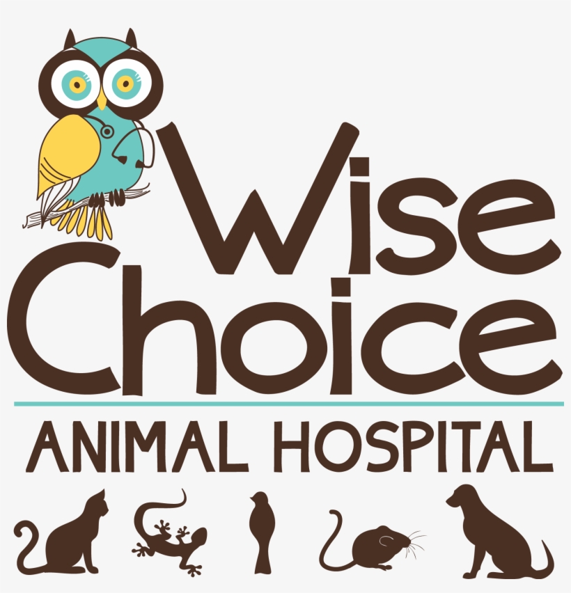 Care Credit Logo Png Free Transparent PNG Download PNGkey