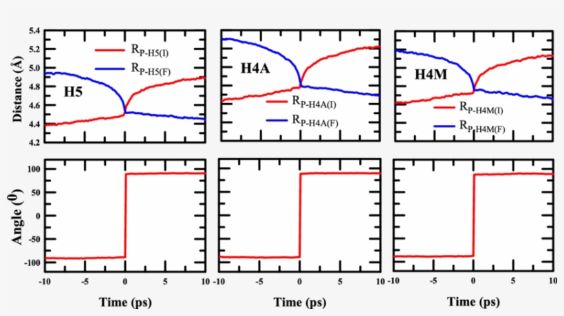 Average Trajectories Calculated For The Large Amplitude, transparent png #7515637