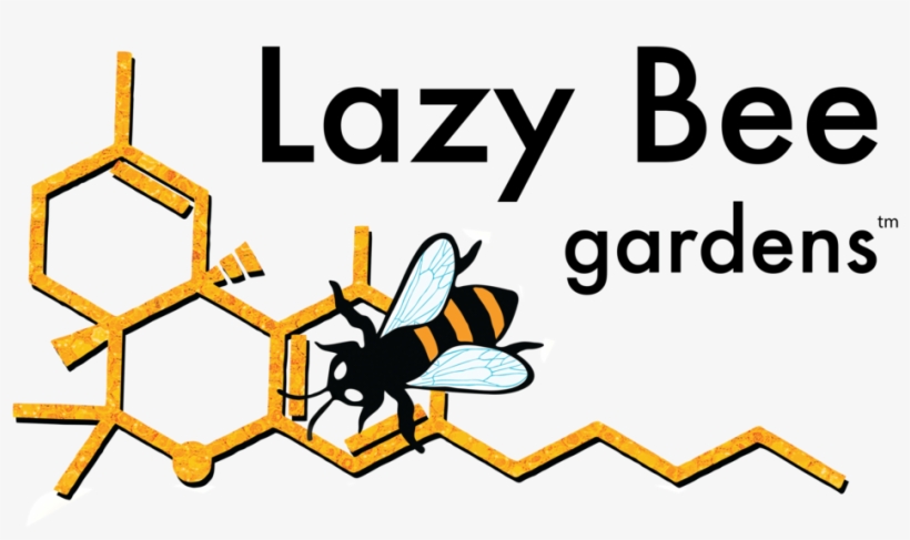 Lb Logo Orange Orange Format=1500w, transparent png #7517865