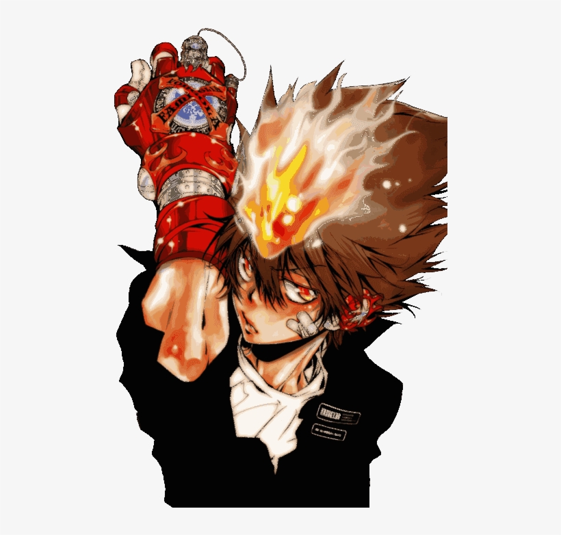 The Reborn Story Revolves Around A Boy Named Tsunayoshi, transparent png #7522266