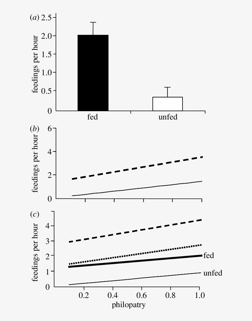 Results Of Glms On The Effect Of Food Supplementation, transparent png #7523955