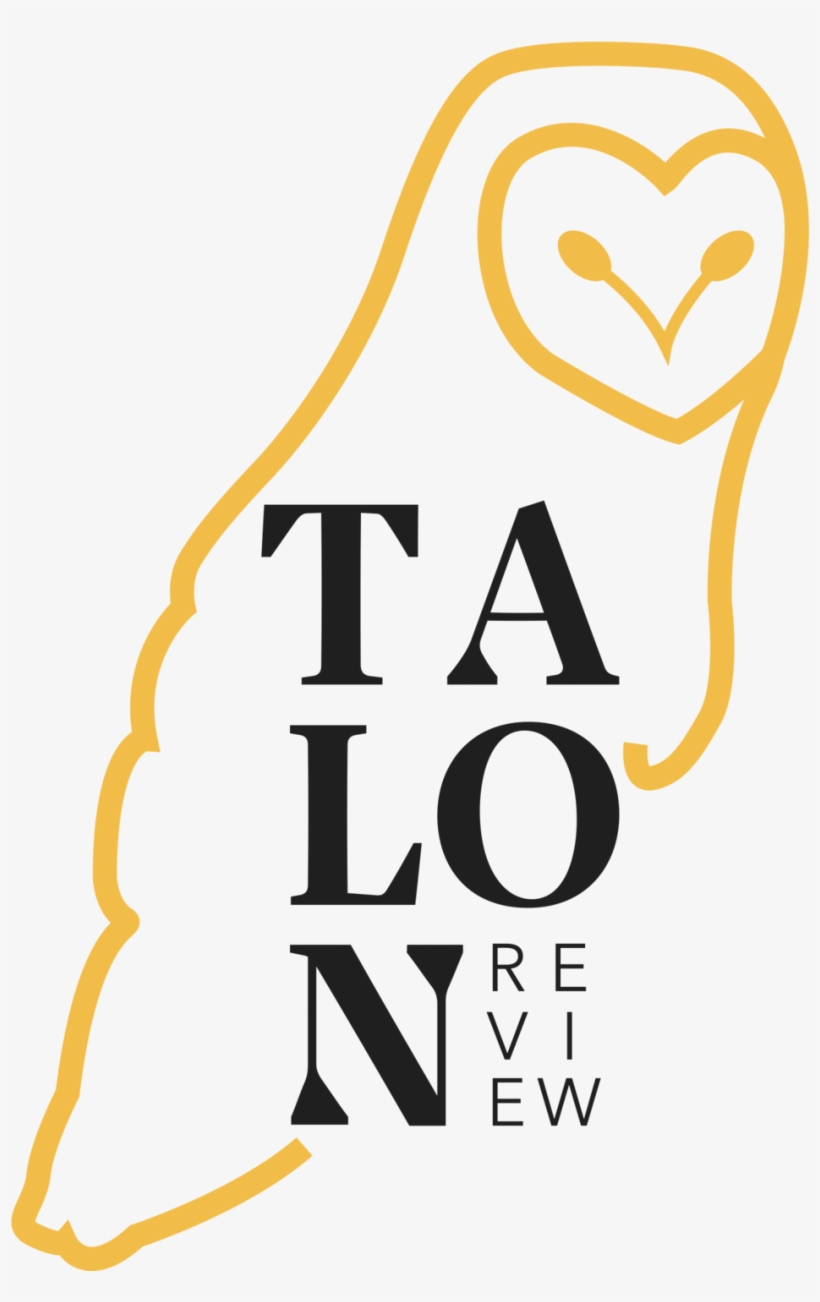 Talon Png, transparent png #7525503