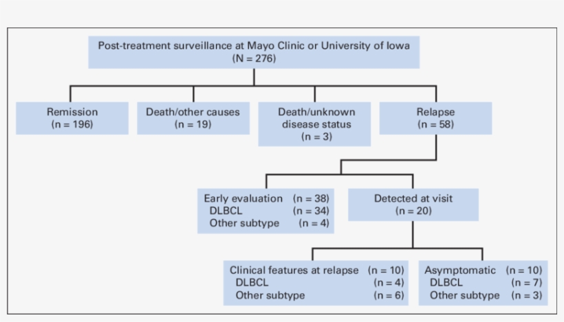 Flowchart In Patients Followed At Mayo Clinic Or University, transparent png #7525848