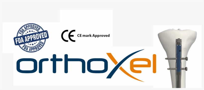 Great Start To For Orthoxel Exciting Year Ahead As, transparent png #7531693