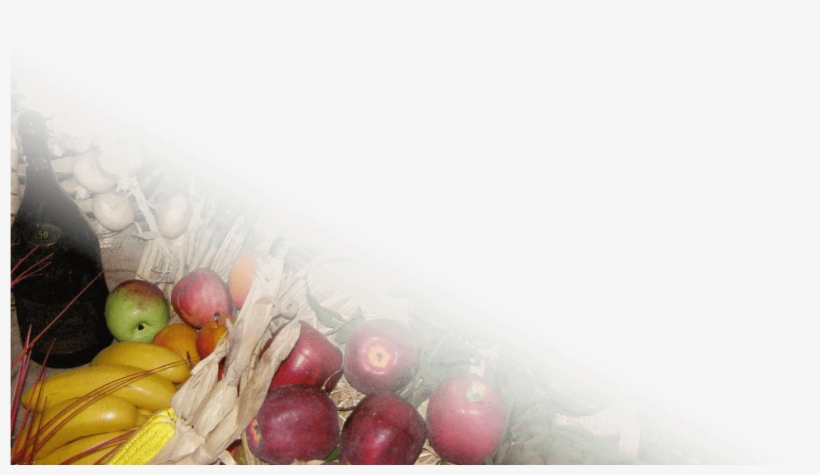 Tito´s Bodeguita Transparent, transparent png #7533134
