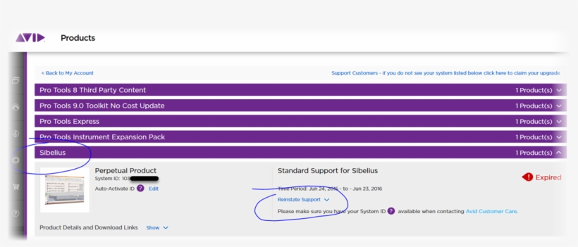 Reinstating Support In Your Av, transparent png #7533622