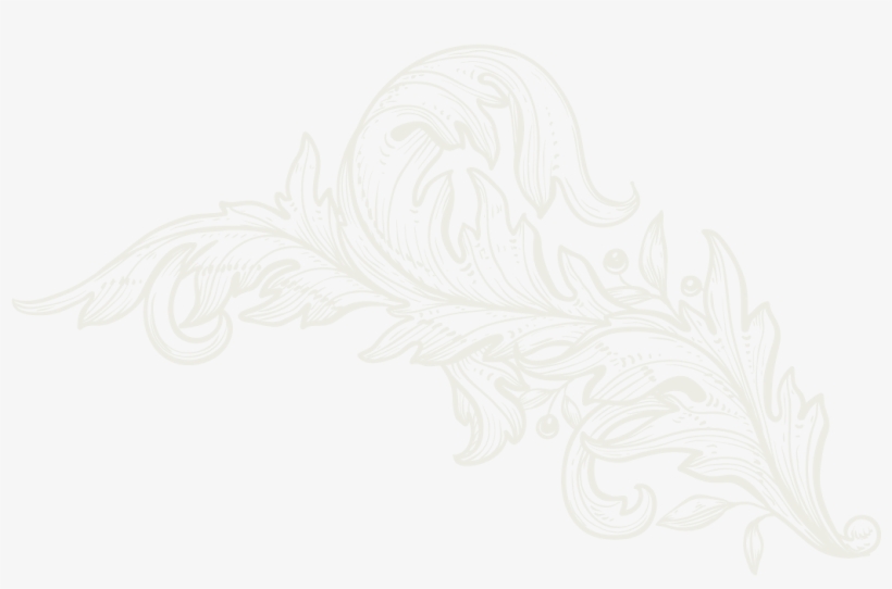 Copyright ©, transparent png #7533671