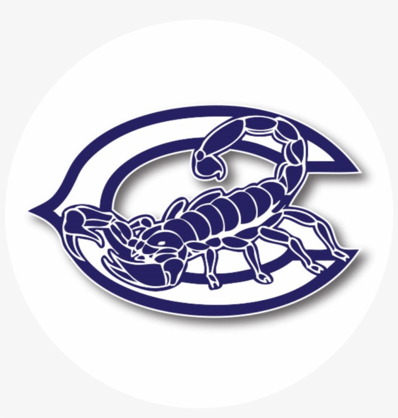Http - //www - Avid - Org/, transparent png #7533762