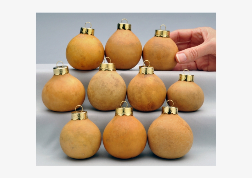 Craft-ready Gourd Ornaments, transparent png #7539620