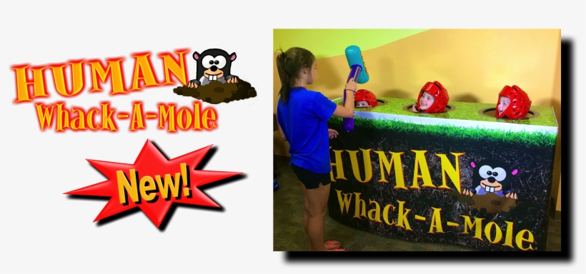 Click Here For More Information On The Human Whack, transparent png #7541128