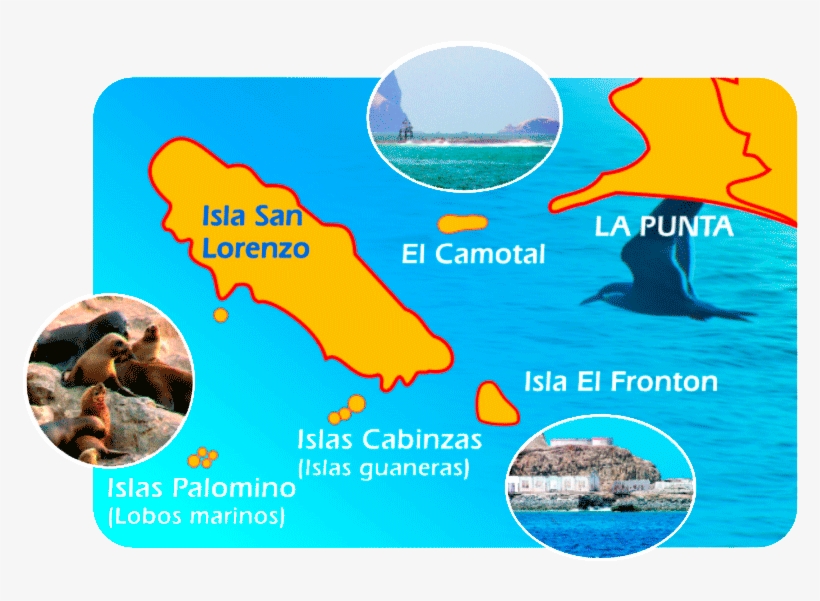 Tour En Yate A Islas Palomino, transparent png #7541679