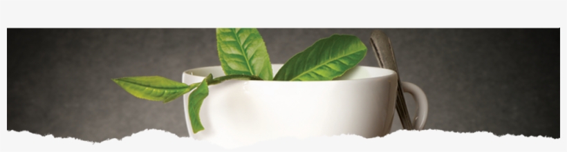 Product English Breakfast Black Tea Hdr Bg, transparent png #7542042