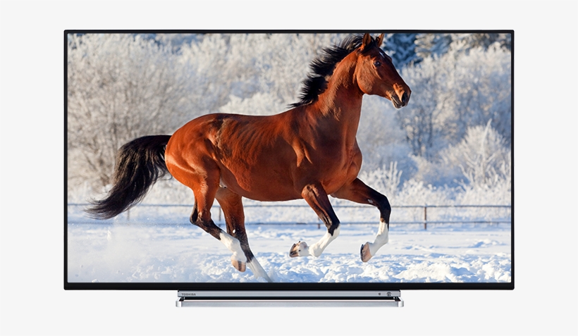 Best 43 Inch Uhd Tv 2018 Top 43 Inch 4k Tv, transparent png #7542482