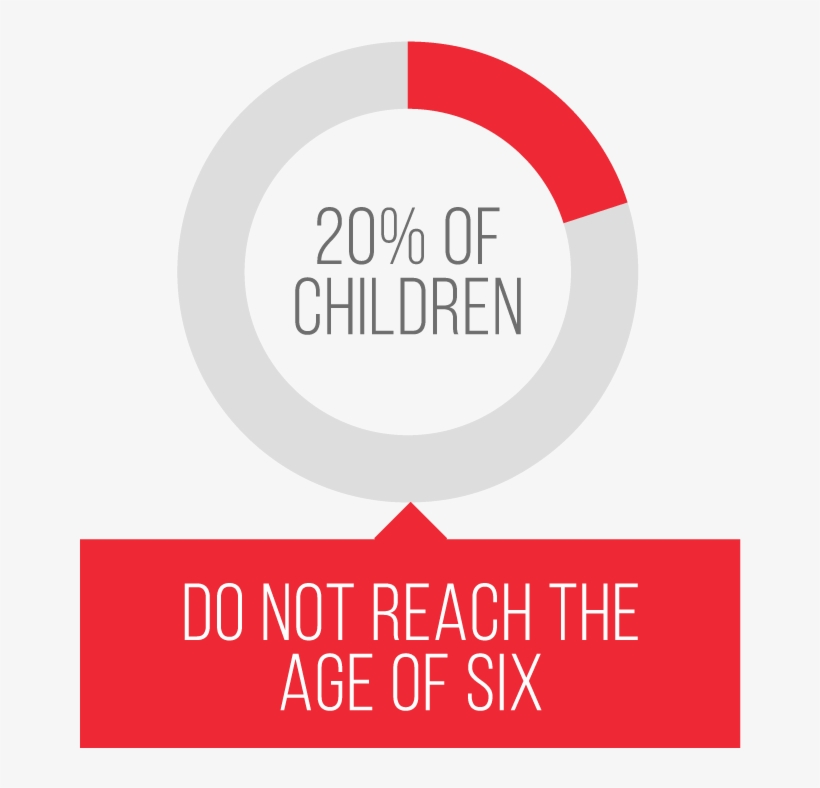 20% Of Children Do Not Reach The Age Of Six, transparent png #7545537
