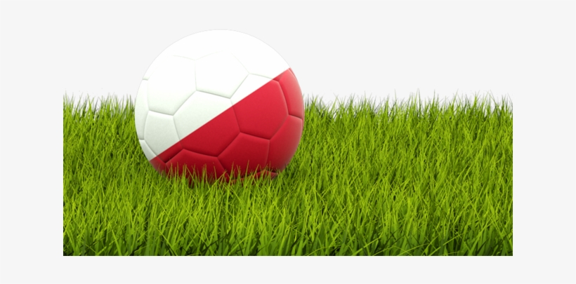 Poland Png, transparent png #7545855