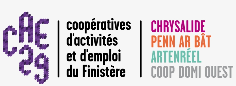 Logo Cae 29 Global, transparent png #7549377