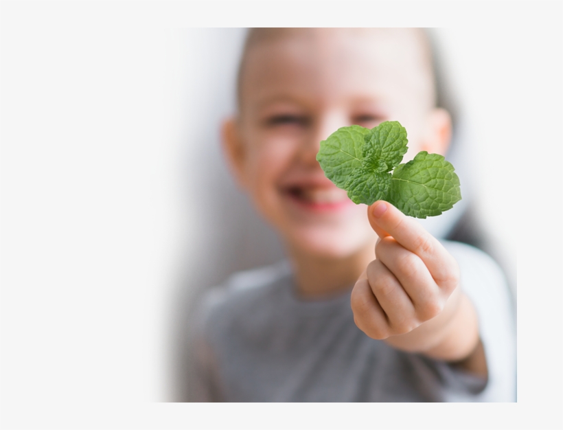 Menthol For Fast, Cooling Itch Relief And Ceramides, transparent png #7552316