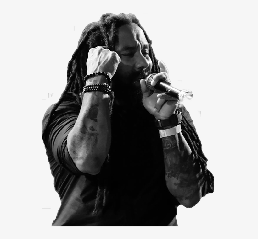 30 Sep Marley-png, transparent png #7552526