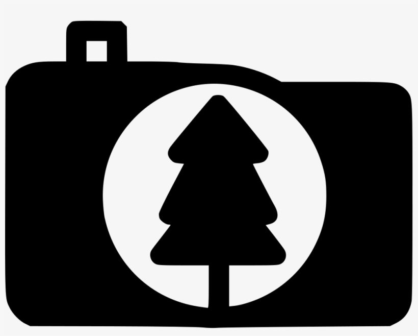 Forest Trees Photography Comments, transparent png #7553138