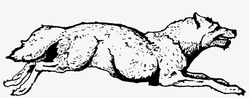 Wolf, transparent png #7554541