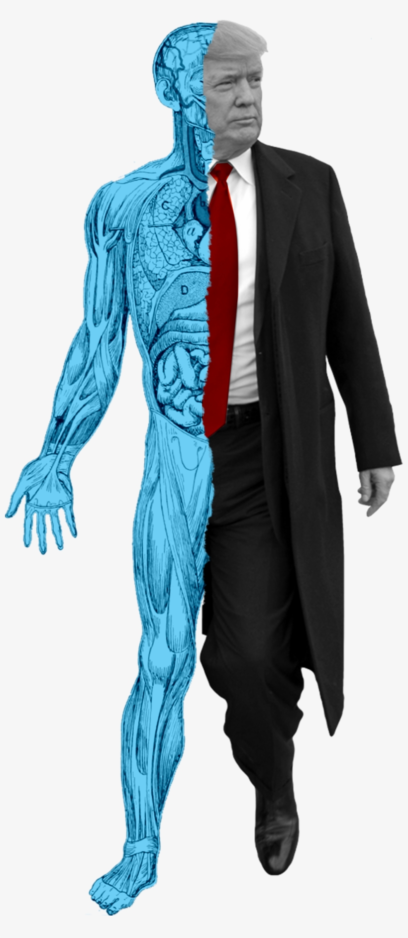 The President Had His Appendix Removed At The Age Of, transparent png #7555003