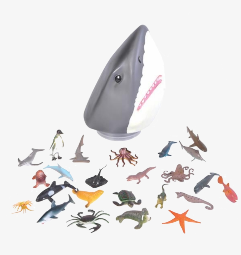 Home » Shark Head Case, transparent png #7557491