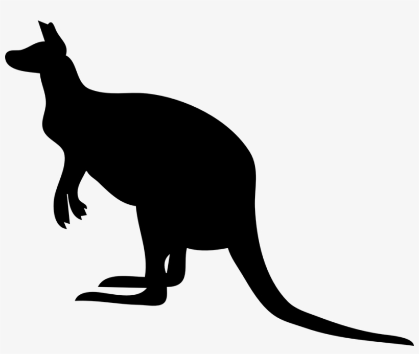 Kangaroo Vector Png, transparent png #7559116