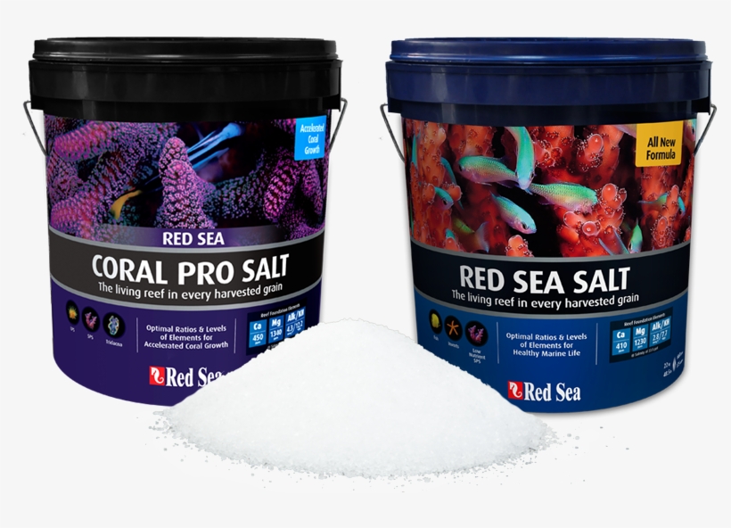 Red Sea Salt, Bucket, transparent png #7560858