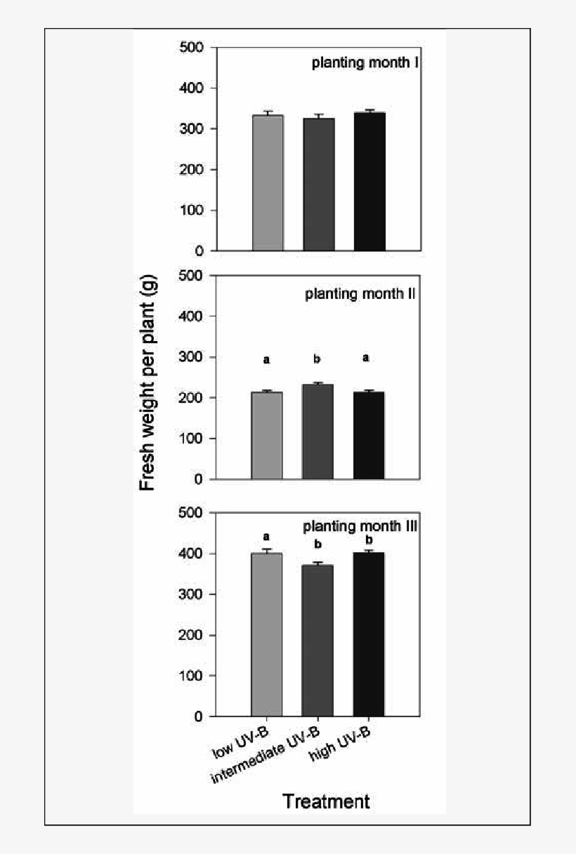 Fresh Weight Of Plants Of Different Uv-b Treatment, transparent png #7560903