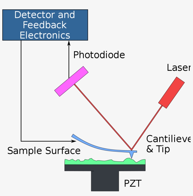 Microscope Png, transparent png #7561645