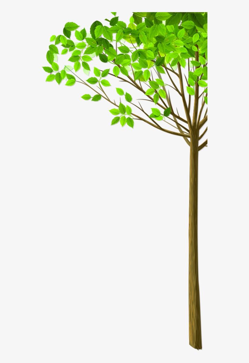 Img_tree.png, transparent png #7563056