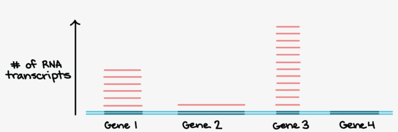 Genes Png, transparent png #7563630