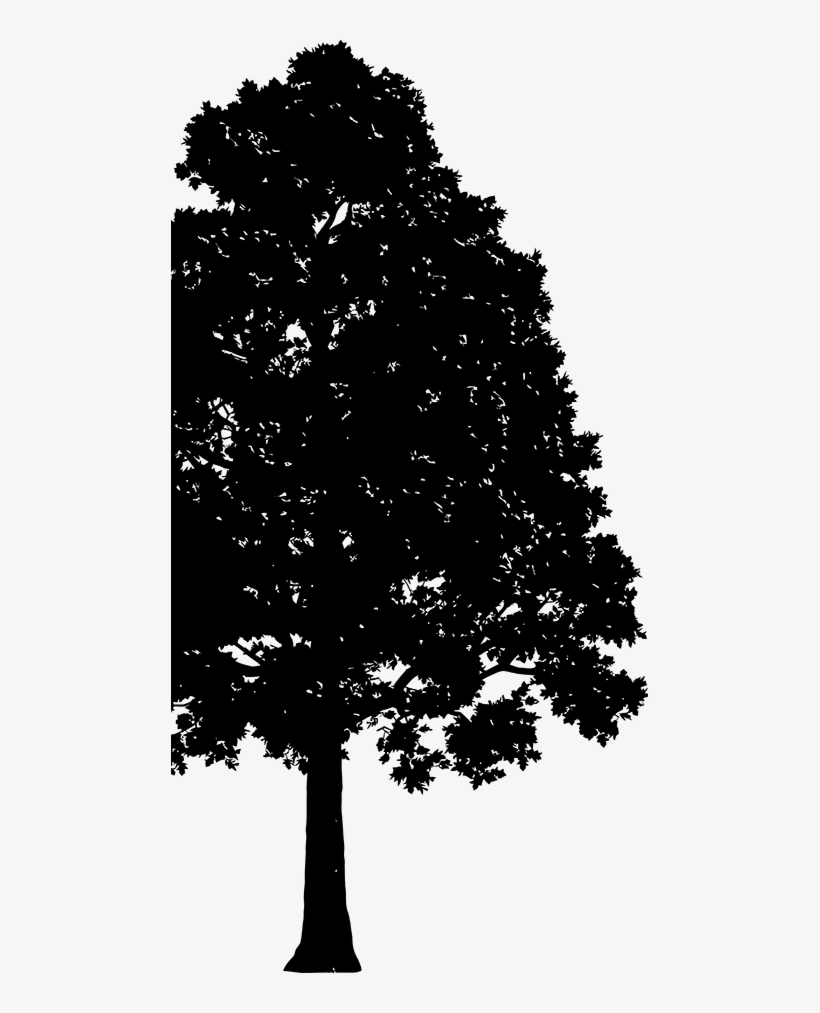 Gesetzliche Anbieterkennung -, transparent png #7563802