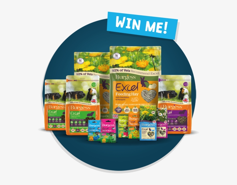 Win Me, transparent png #7565222