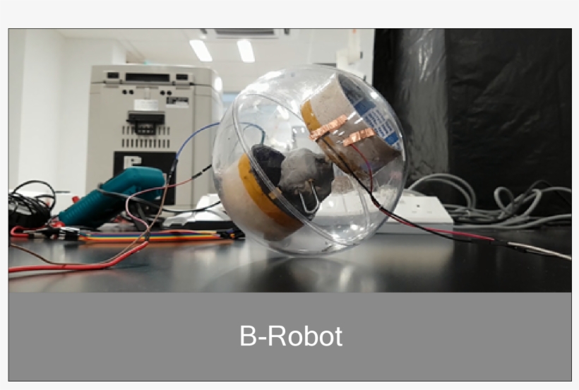 Robot.png, transparent png #7568969