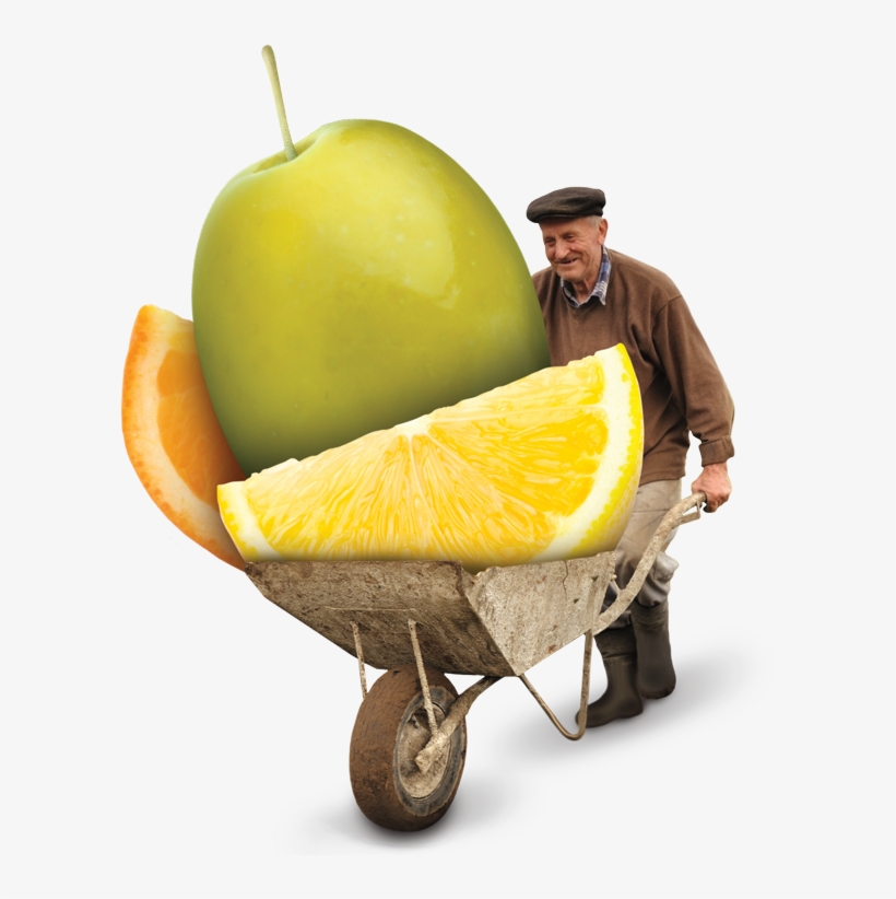 Love Discovering Fabulous New Flavors, transparent png #7569028